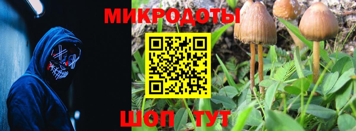 Псилоцибиновые грибы мицелий  Вход с VPN  Можга 