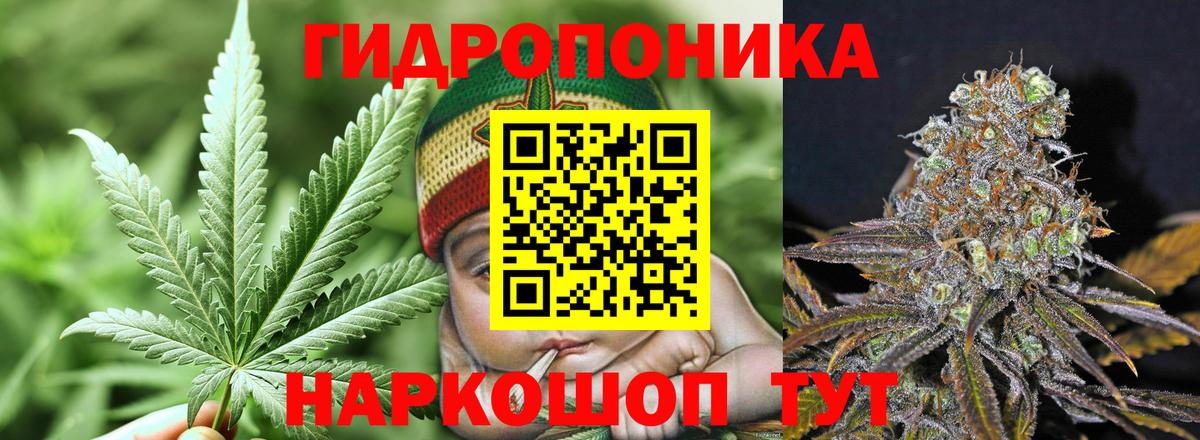 Можга  Бошки Шишки гибрид  Каннабис VHQ  Вход с VPN 